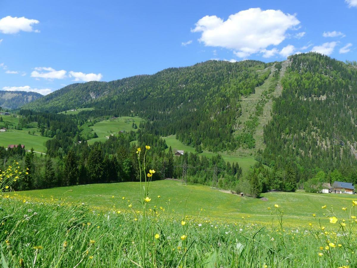 Apartament Alpenhaus Dachstein.Zauber Abtenau Zewnętrze zdjęcie