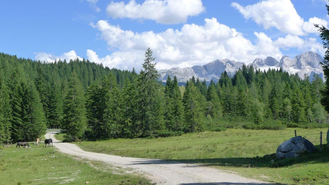 Apartament Alpenhaus Dachstein.Zauber Abtenau Zewnętrze zdjęcie