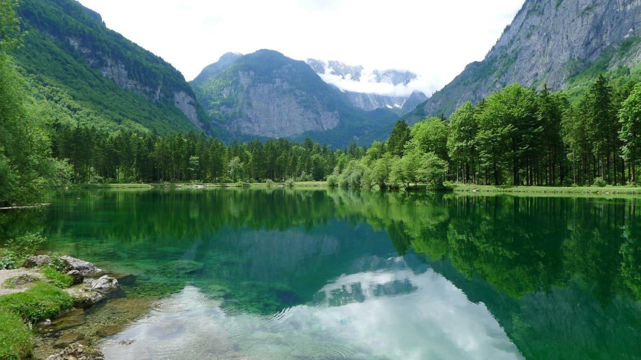 Apartament Alpenhaus Dachstein.Zauber Abtenau Zewnętrze zdjęcie
