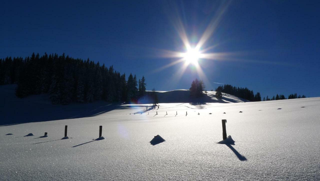 Apartament Alpenhaus Dachstein.Zauber Abtenau Zewnętrze zdjęcie