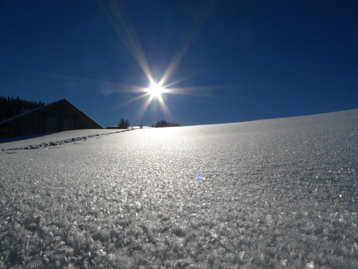 Apartament Alpenhaus Dachstein.Zauber Abtenau Zewnętrze zdjęcie